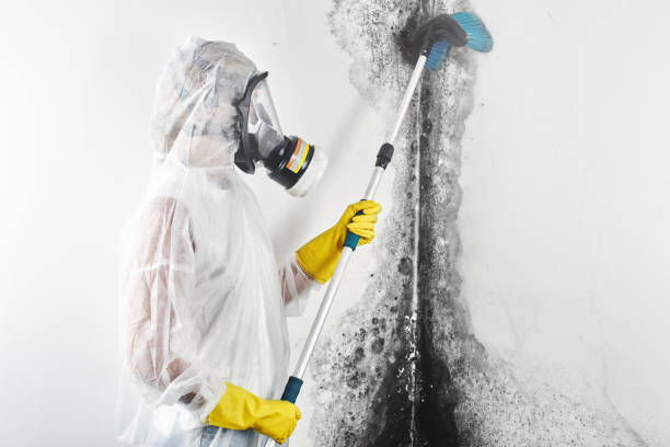 Best Dehumidification Services  in Fort Dick, CA