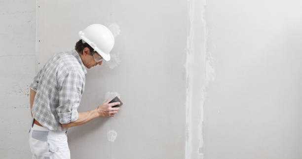 Best Emergency Mold Remediation  in Fort Dick, CA