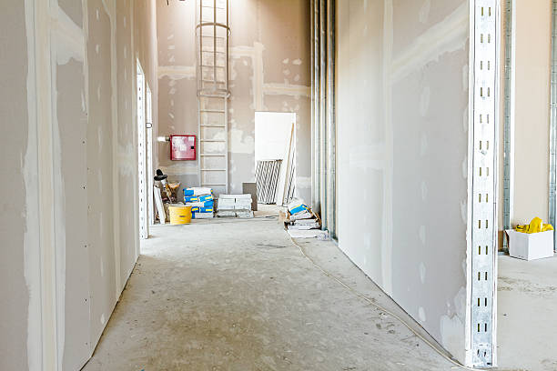 Best Black Mold Removal  in Fort Dick, CA